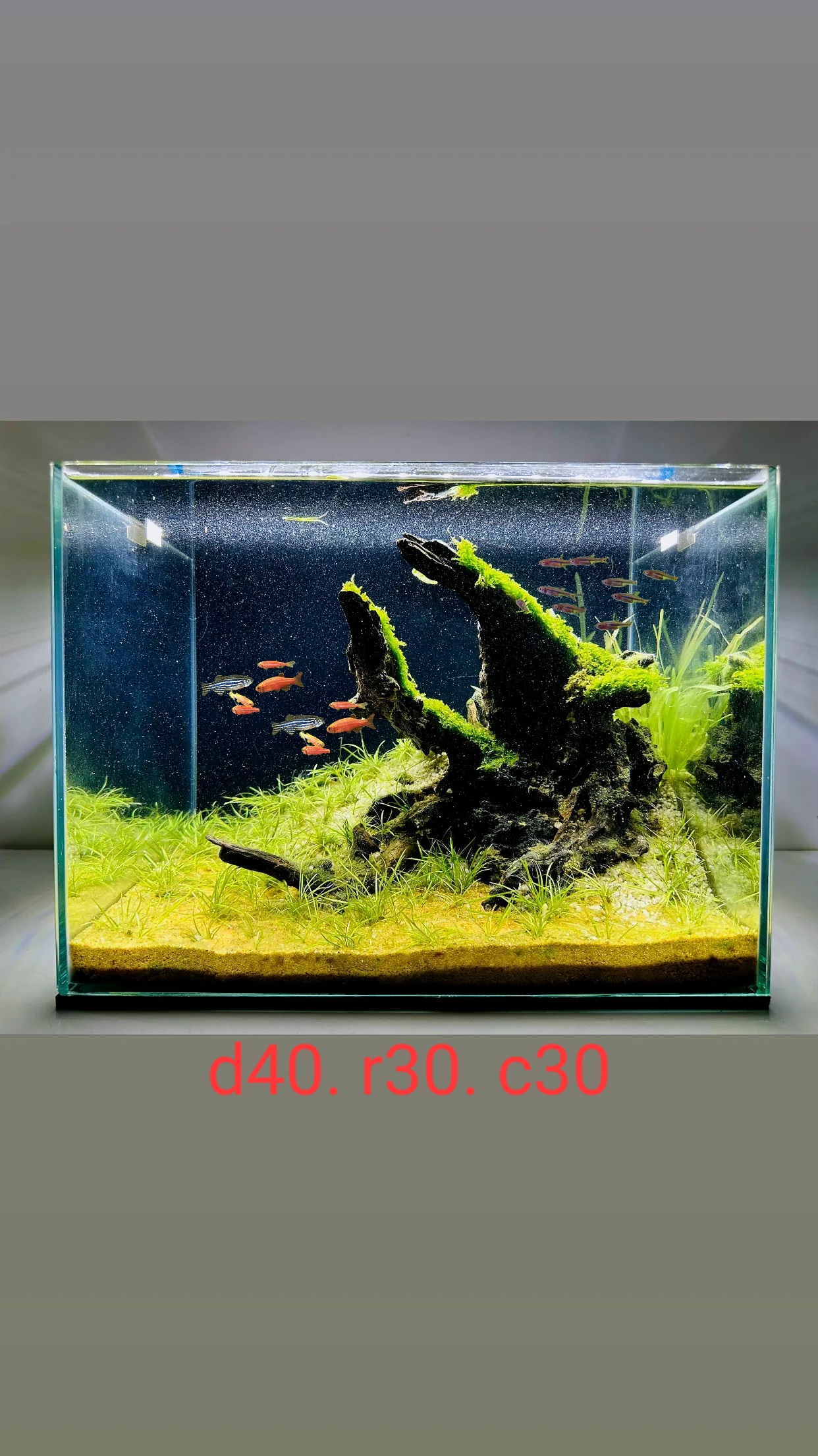 z4971541334965_0ef14d0d26078970c97548f139577df1