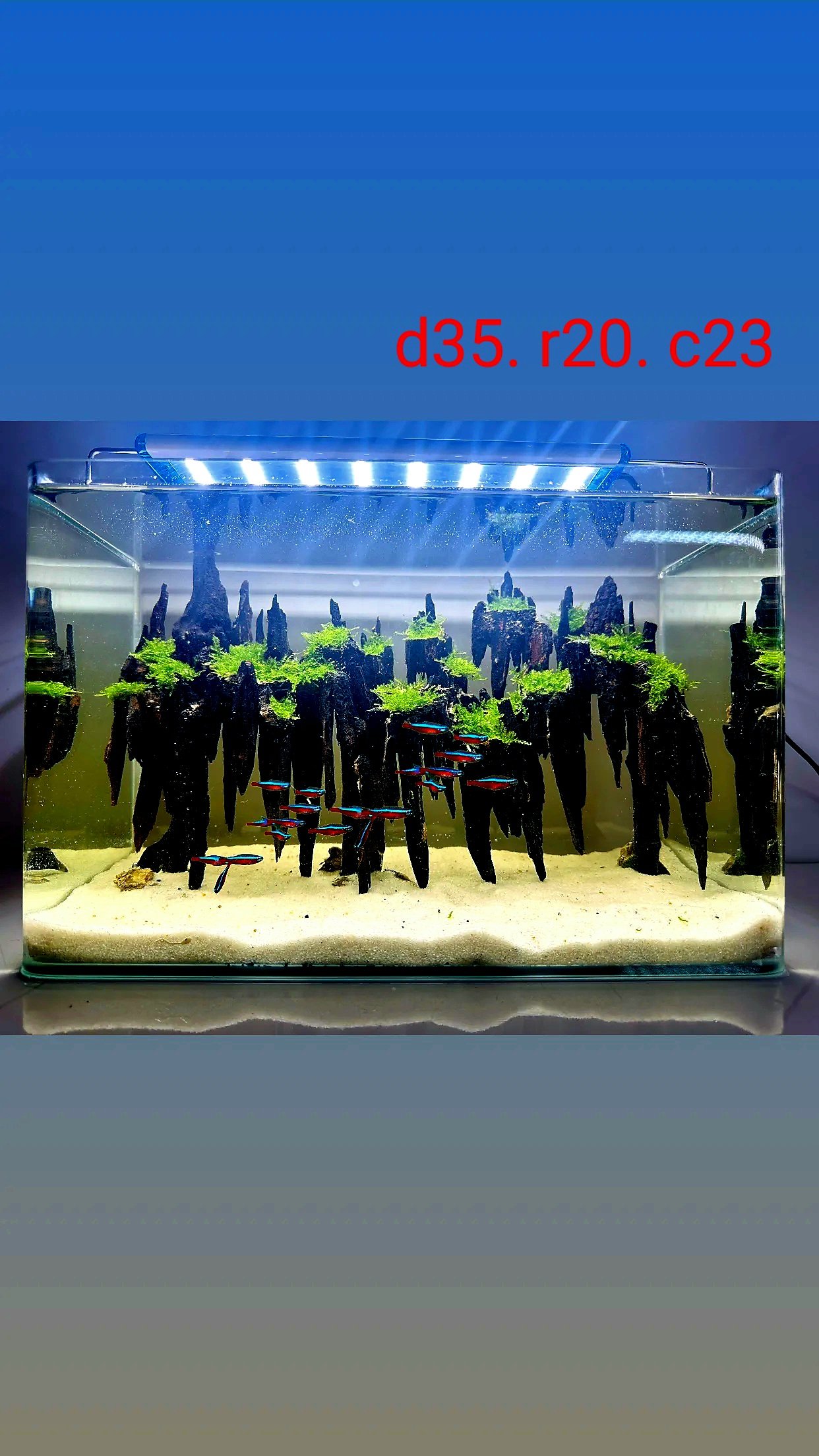 z5030332636797_840483462f9996d4cae9339c4377be20
